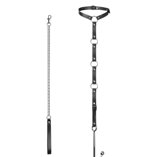 and Leash Anal with Collar 5853 Hook EverydayUse Kinky 0116